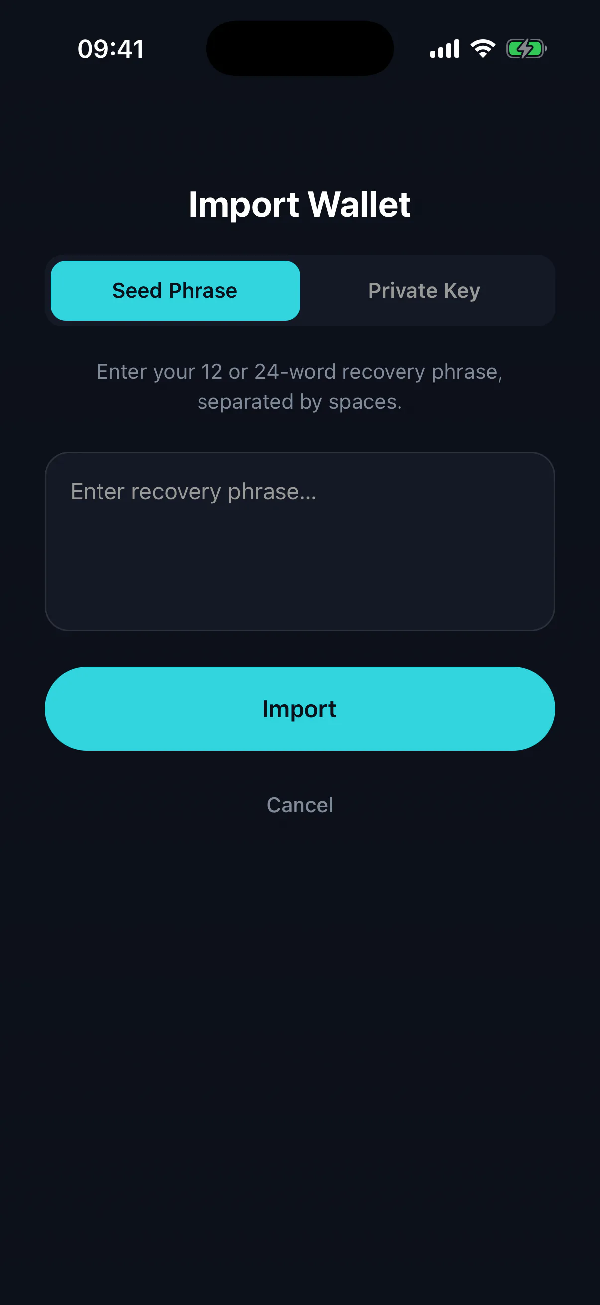 The import screen with fields for a recovery phrase