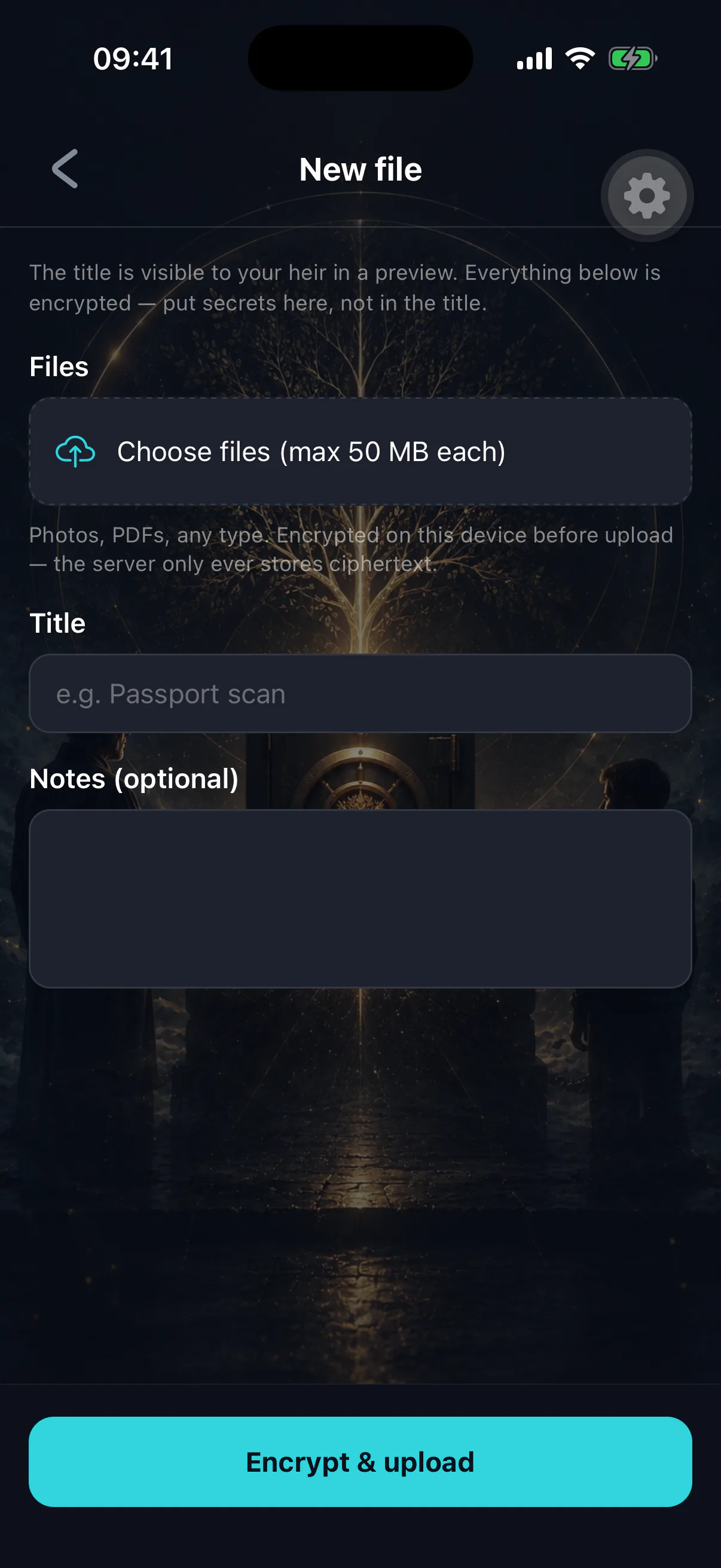 The vault editor for a file item, showing the attached document and notes field