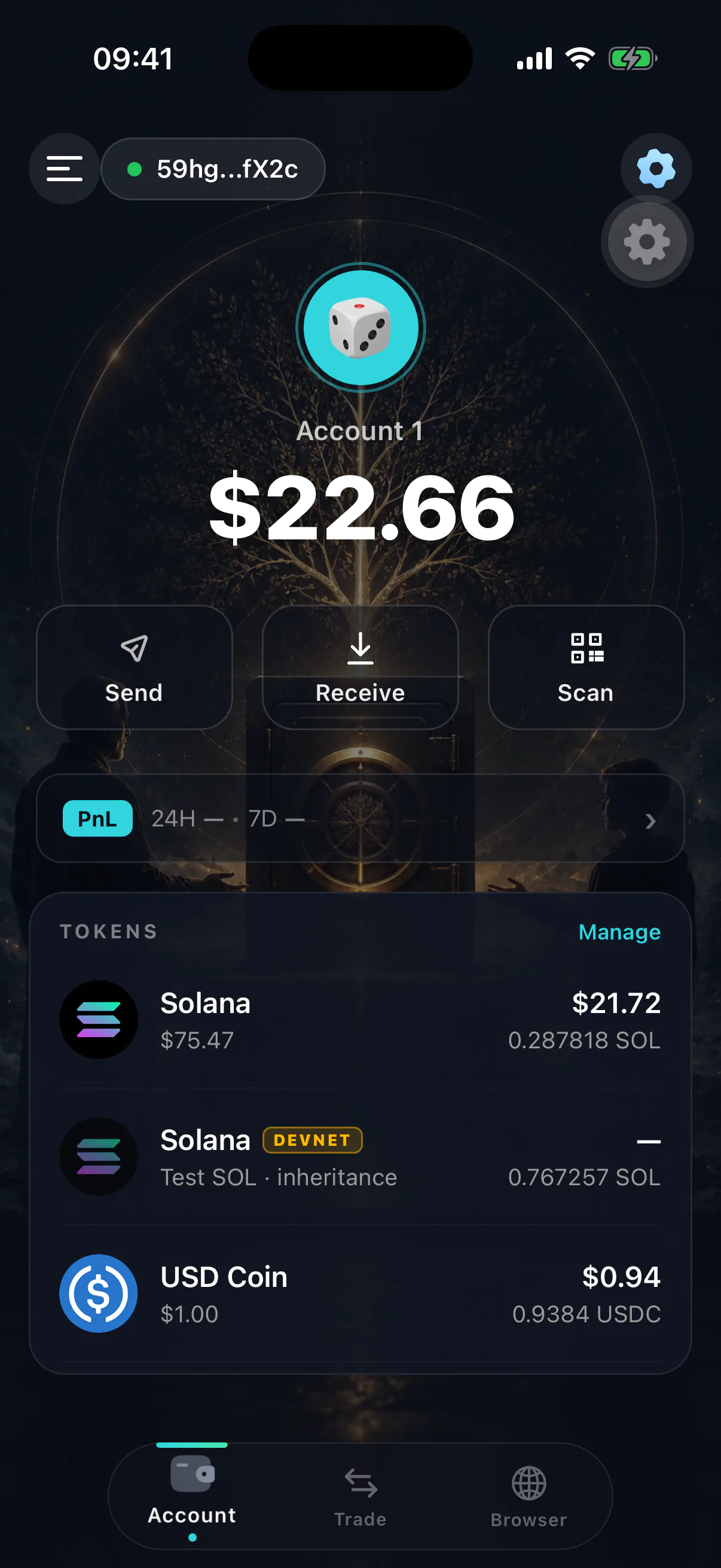 The portfolio screen listing SOL and SPL token balances with values